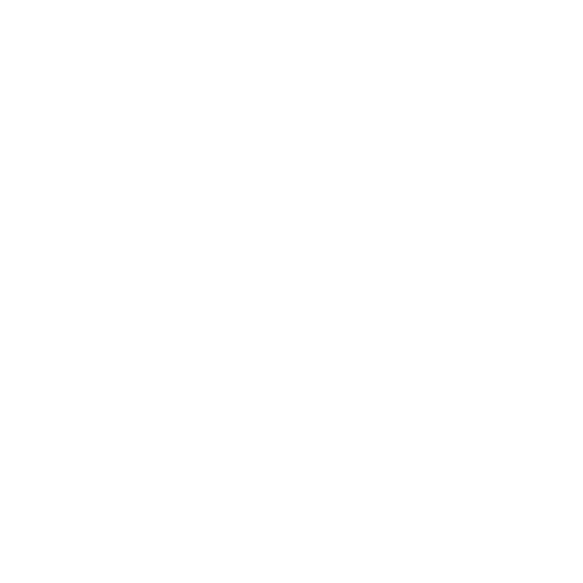 Discoverer Automotive